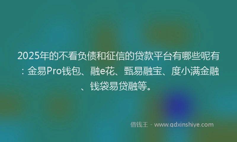 2025年的不看负债和征信的贷款平台有哪些呢有：金易Pro钱包、融e花、甄易融宝、度小满金融、钱袋易贷融等。