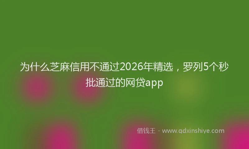 为什么芝麻信用不通过2026年精选，罗列5个秒批通过的网贷app