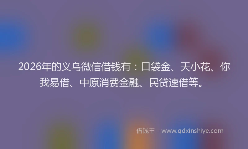 2026年的义乌微信借钱有:口袋金、天小花、你我易借、中原消费金融、民贷速借等。