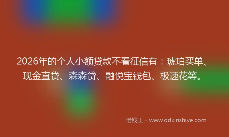 2026年的个人小额贷款不看征信有：琥珀买单、现金直贷、森森贷、融悦宝钱包、极速花等。