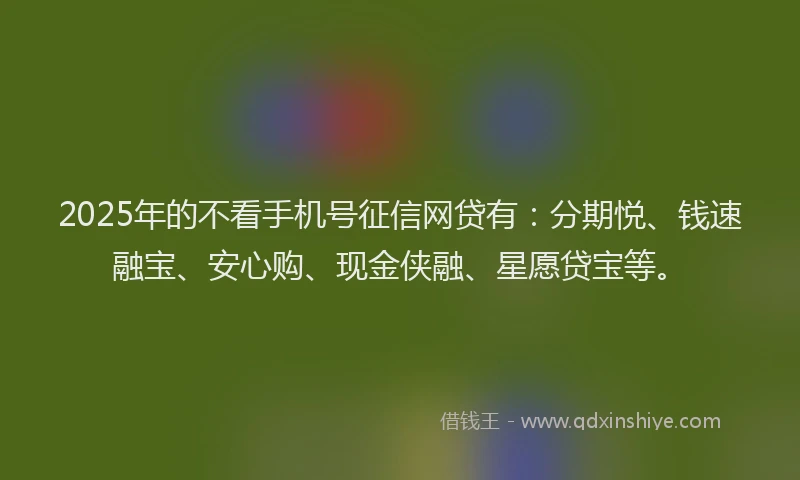 2025年的不看手机号征信网贷有：分期悦、钱速融宝、安心购、现金侠融、星愿贷宝等。
