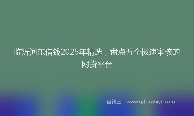 临沂河东借钱2025年精选，盘点五个极速审核的网贷平台