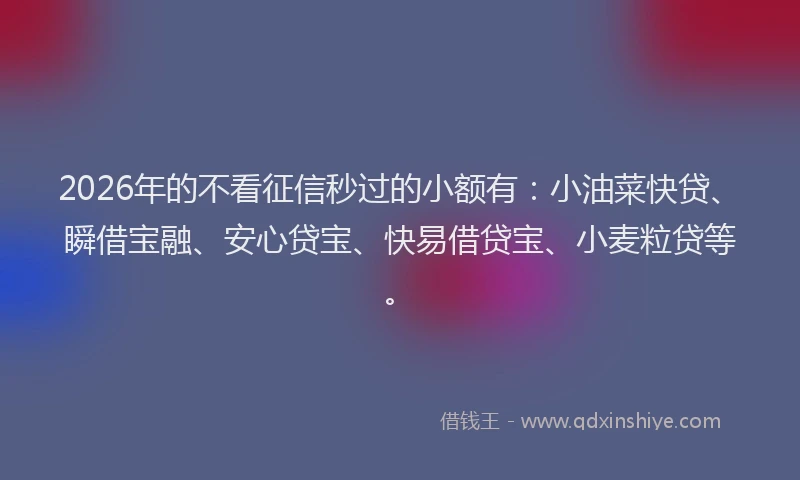 2026年的不看征信秒过的小额有：小油菜快贷、瞬借宝融、安心贷宝、快易借贷宝、小麦粒贷等。