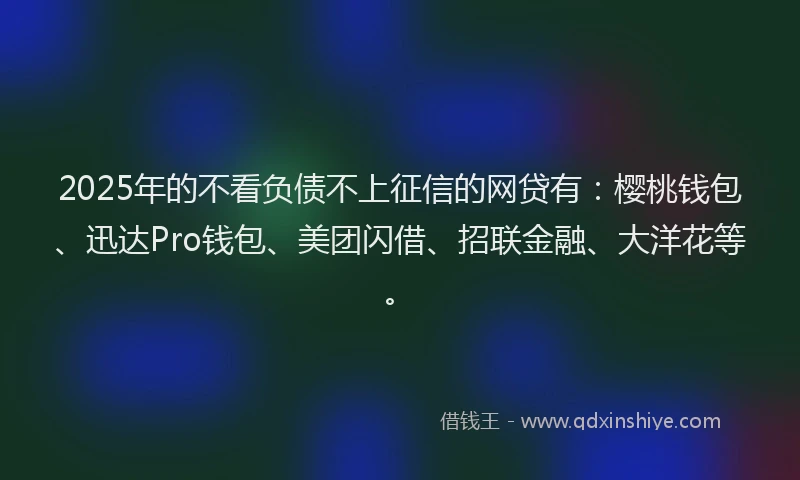 2025年的不看负债不上征信的网贷有：樱桃钱包、迅达Pro钱包、美团闪借、招联金融、大洋花等。