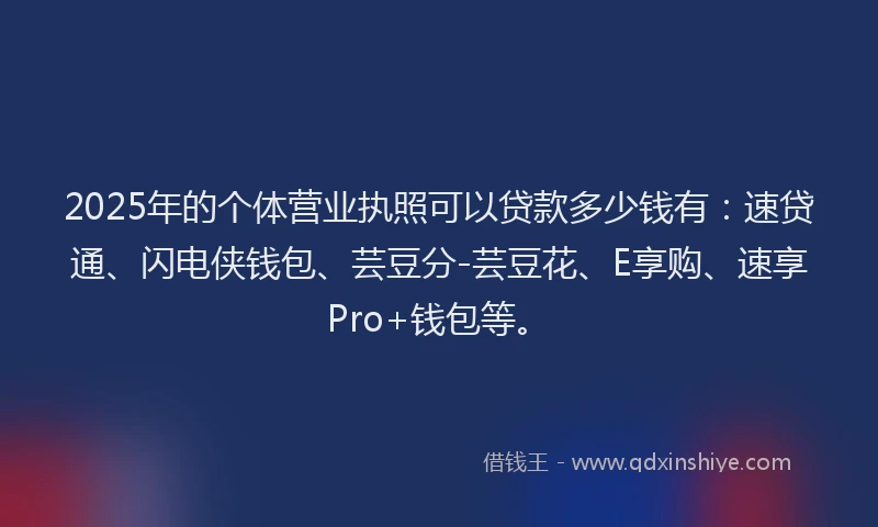 2025年的个体营业执照可以贷款多少钱有:速贷通、闪电侠钱包、芸豆分-芸豆花、E享购、速享Pro+钱包等。