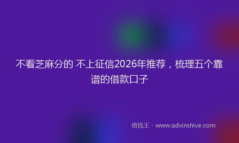 不看芝麻分的 不上征信2026年推荐，梳理五个靠谱的借款口子