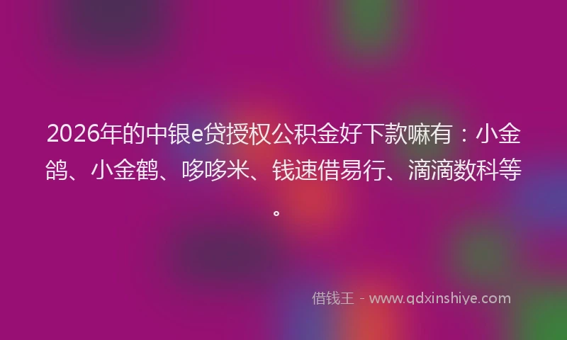 2026年的中银e贷授权公积金好下款嘛有:小金鸽、小金鹤、哆哆米、钱速借易行、滴滴数科等。