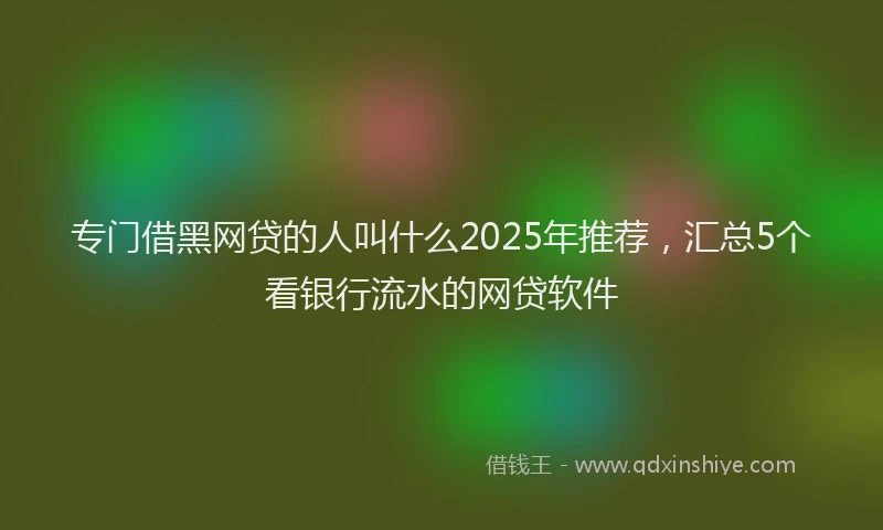 专门借黑网贷的人叫什么2025年推荐，汇总5个看银行流水的网贷软件