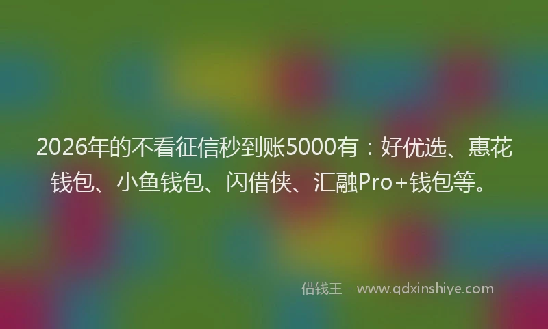 2026年的不看征信秒到账5000有:好优选、惠花钱包、小鱼钱包、闪借侠、汇融Pro+钱包等。