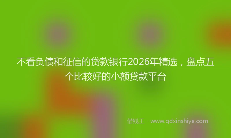 不看负债和征信的贷款银行2026年精选，盘点五个比较好的小额贷款平台