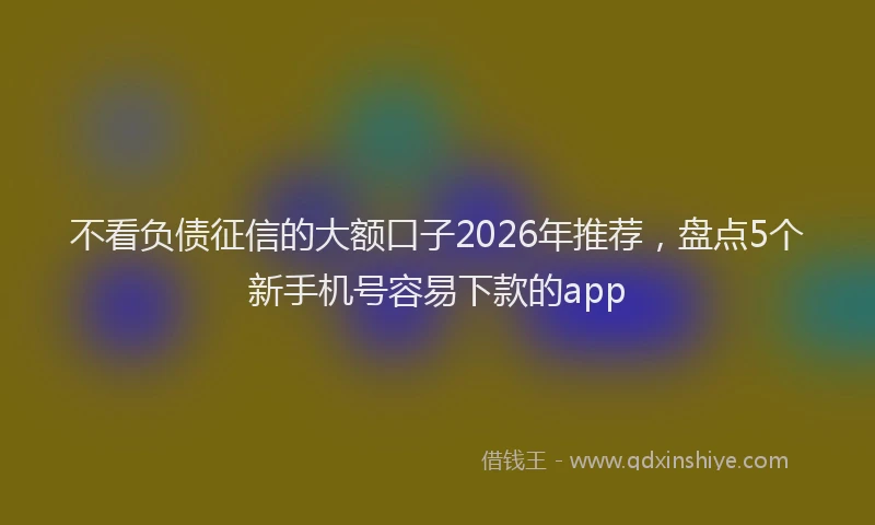 不看负债征信的大额口子2026年推荐，盘点5个新手机号容易下款的app