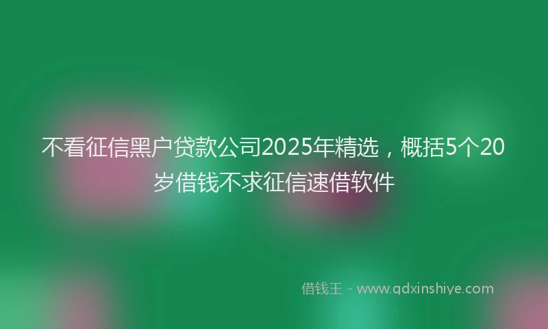 不看征信黑户贷款公司2025年精选,概括5个20岁借钱不求征信速借软件
