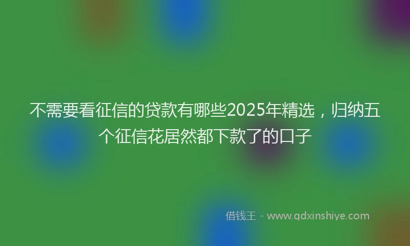 不需要看征信的贷款有哪些2025年精选，归纳五个征信花居然都下款了的口子