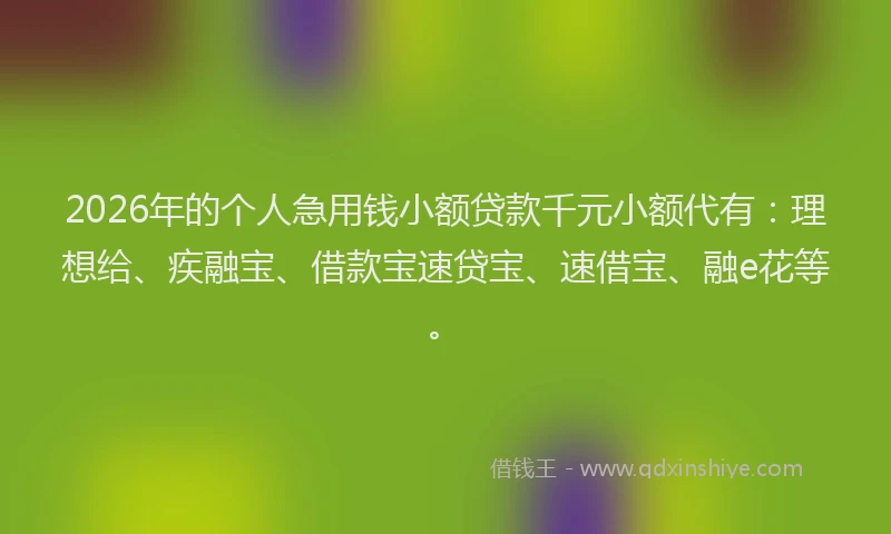 2026年的个人急用钱小额贷款千元小额代有：理想给、疾融宝、借款宝速贷宝、速借宝、融e花等。