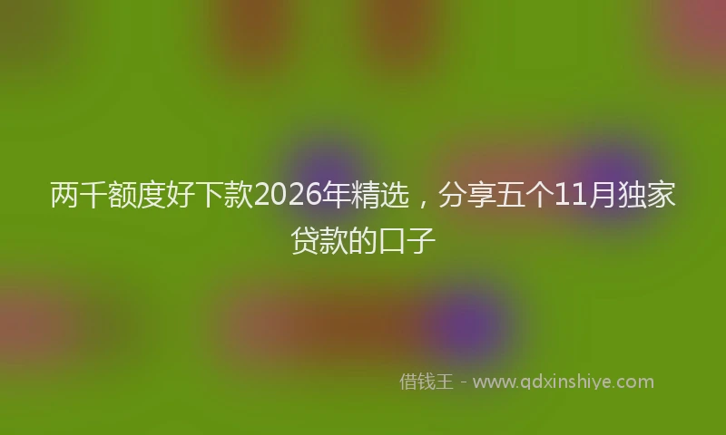 两千额度好下款2026年精选，分享五个11月独家贷款的口子