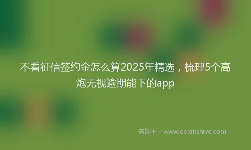 不看征信签约金怎么算2025年精选，梳理5个高炮无视逾期能下的app