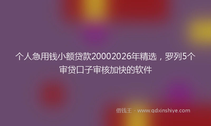 个人急用钱小额贷款20002026年精选，罗列5个审贷口子审核加快的软件