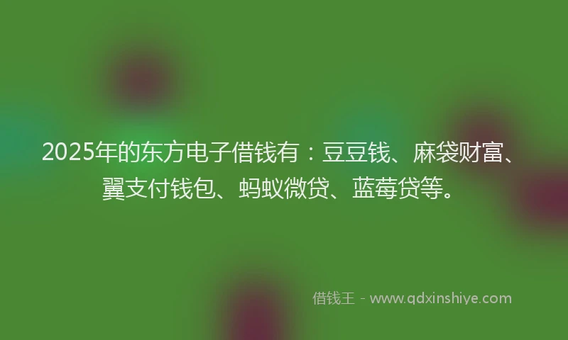 2025年的东方电子借钱有:豆豆钱、麻袋财富、翼支付钱包、蚂蚁微贷、蓝莓贷等。