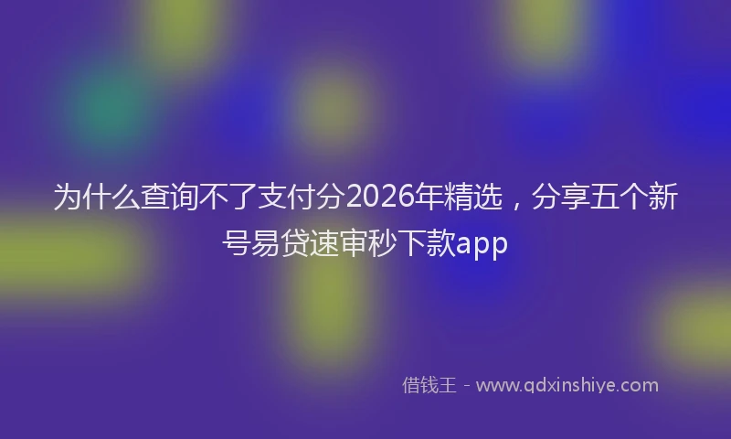为什么查询不了支付分2026年精选，分享五个新号易贷速审秒下款app