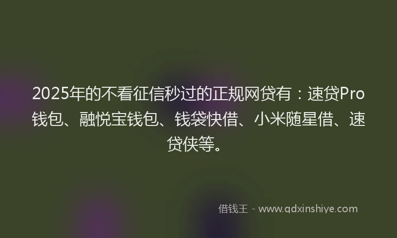 2025年的不看征信秒过的正规网贷有：速贷Pro钱包、融悦宝钱包、钱袋快借、小米随星借、速贷侠等。