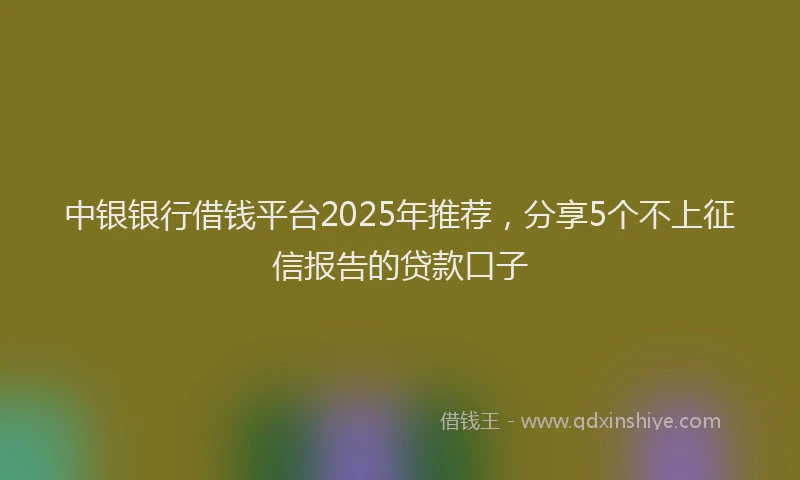 中银银行借钱平台2025年推荐，分享5个不上征信报告的贷款口子