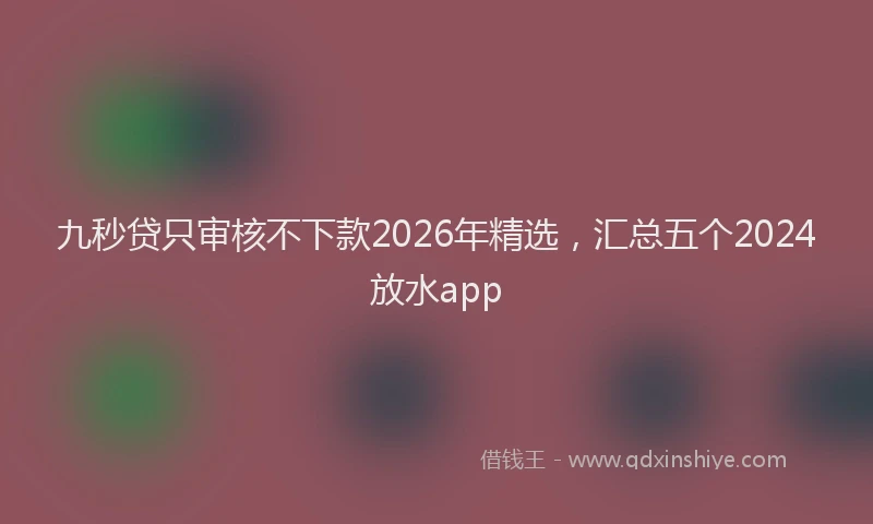 九秒贷只审核不下款2026年精选，汇总五个2024放水app