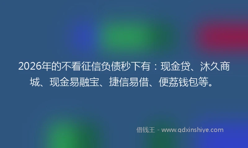 2026年的不看征信负债秒下有:现金贷、沐久商城、现金易融宝、捷信易借、便荔钱包等。