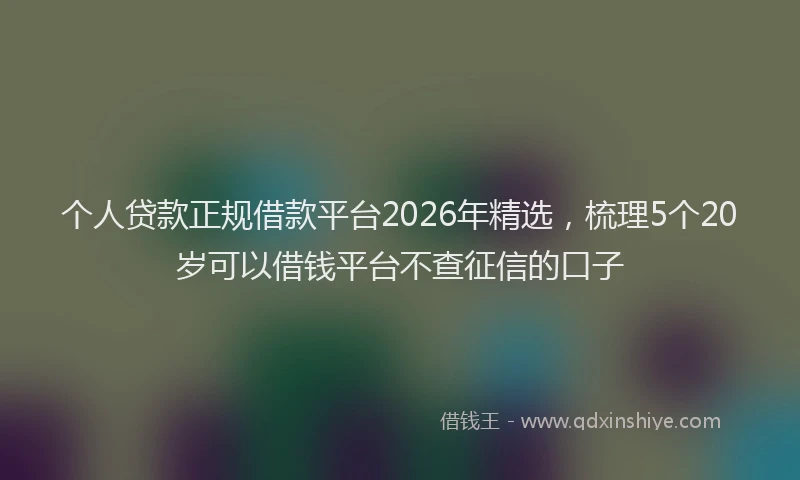 个人贷款正规借款平台2026年精选，梳理5个20岁可以借钱平台不查征信的口子