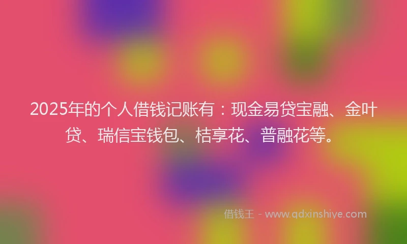 2025年的个人借钱记账有：现金易贷宝融、金叶贷、瑞信宝钱包、桔享花、普融花等。