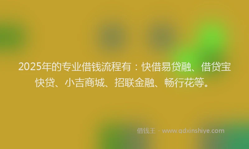 2025年的专业借钱流程有：快借易贷融、借贷宝快贷、小吉商城、招联金融、畅行花等。