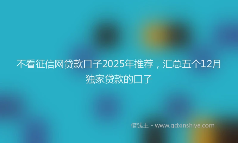 不看征信网贷款口子2025年推荐，汇总五个12月独家贷款的口子