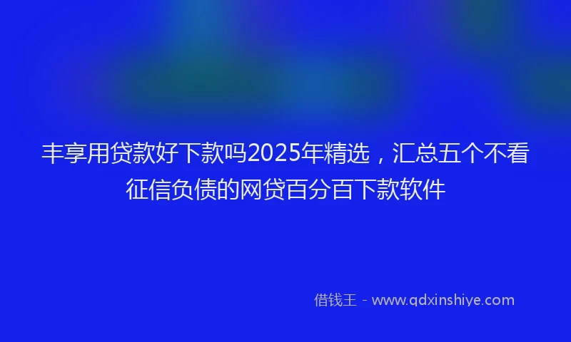 丰享用贷款好下款吗2025年精选,汇总五个不看征信负债的网贷百分百下款软件