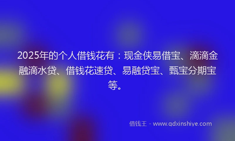 2025年的个人借钱花有：现金侠易借宝、滴滴金融滴水贷、借钱花速贷、易融贷宝、甄宝分期宝等。