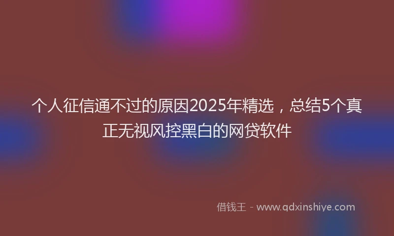 个人征信通不过的原因2025年精选，总结5个真正无视风控黑白的网贷软件