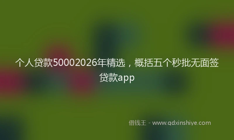 个人贷款50002026年精选，概括五个秒批无面签贷款app