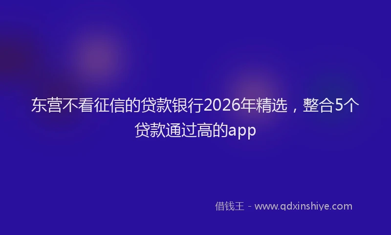 东营不看征信的贷款银行2026年精选，整合5个贷款通过高的app