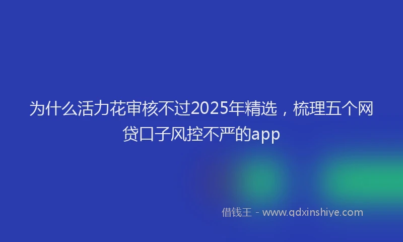 为什么活力花审核不过2025年精选,梳理五个网贷口子风控不严的app
