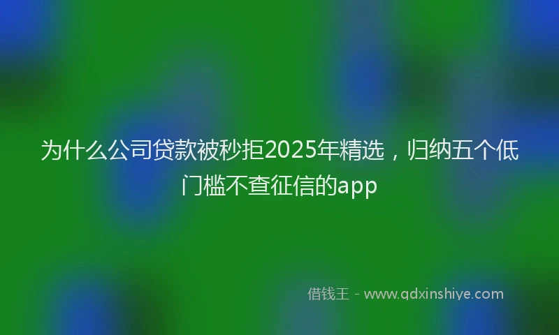 为什么公司贷款被秒拒2025年精选，归纳五个低门槛不查征信的app