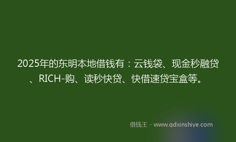 2025年的东明本地借钱有:云钱袋、现金秒融贷、RICH-购、读秒快贷、快借速贷宝盒等。