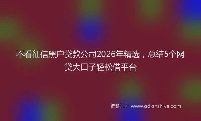 不看征信黑户贷款公司2026年精选,总结5个网贷大口子轻松借平台