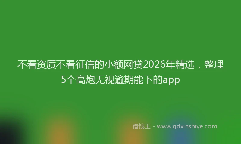 不看资质不看征信的小额网贷2026年精选，整理5个高炮无视逾期能下的app