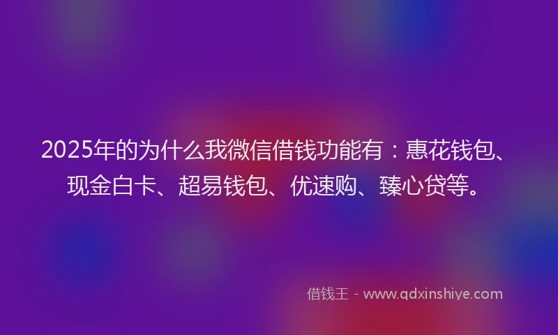2025年的为什么我微信借钱功能有：惠花钱包、现金白卡、超易钱包、优速购、臻心贷等。