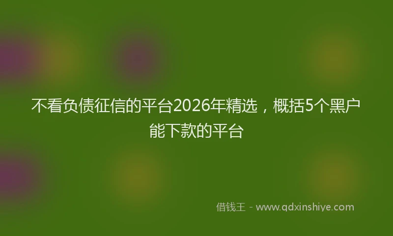 不看负债征信的平台2026年精选，概括5个黑户能下款的平台