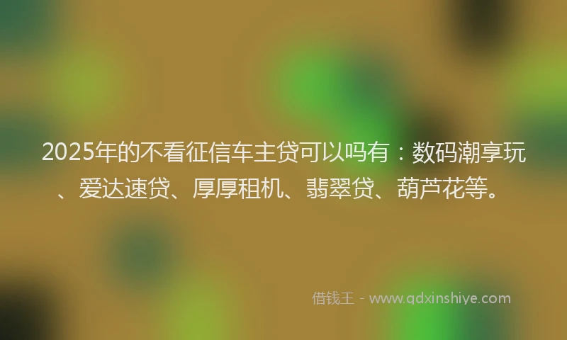 2025年的不看征信车主贷可以吗有：数码潮享玩、爱达速贷、厚厚租机、翡翠贷、葫芦花等。