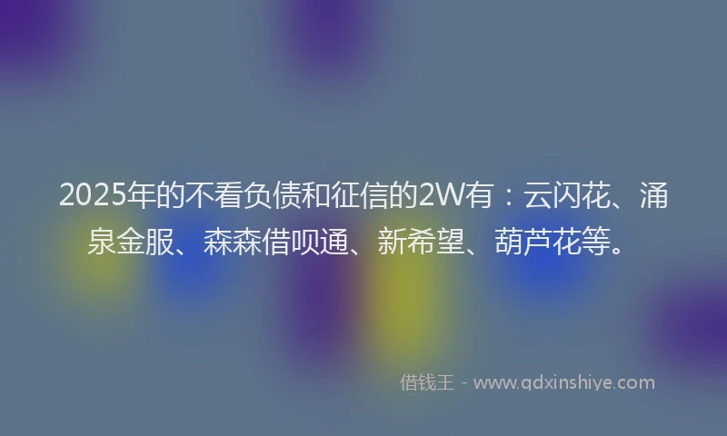 2025年的不看负债和征信的2W有：云闪花、涌泉金服、森森借呗通、新希望、葫芦花等。