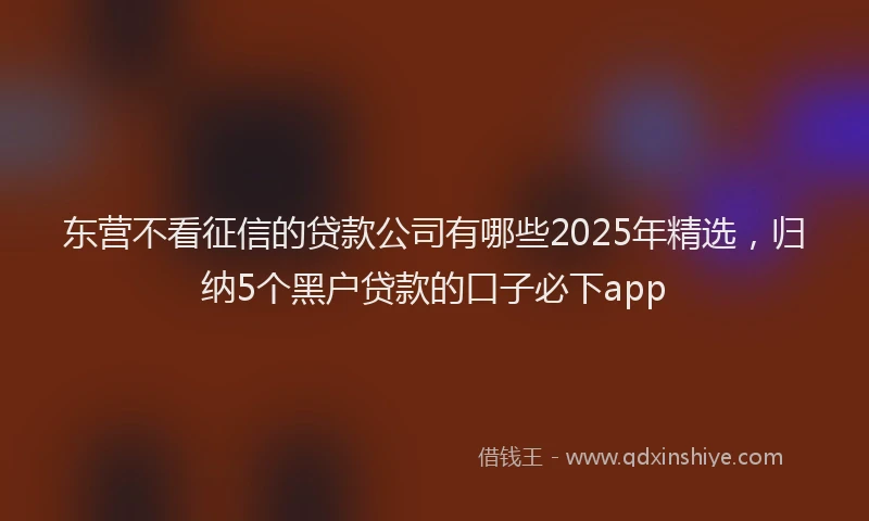 东营不看征信的贷款公司有哪些2025年精选,归纳5个黑户贷款的口子必下app