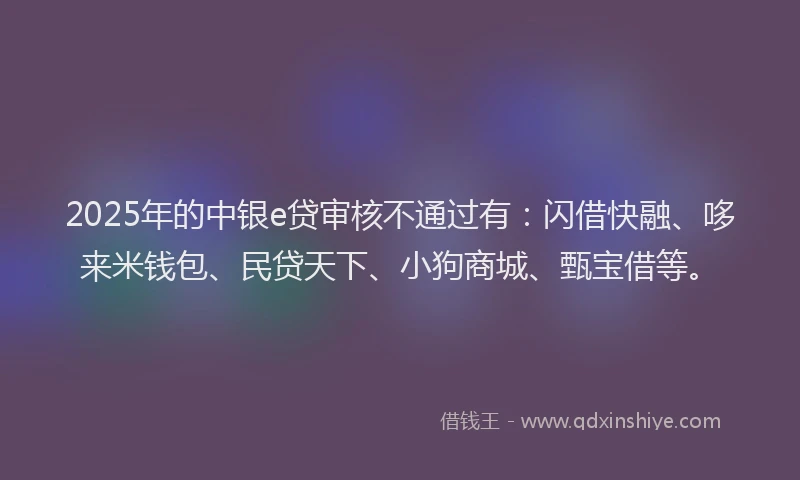 2025年的中银e贷审核不通过有:闪借快融、哆来米钱包、民贷天下、小狗商城、甄宝借等。