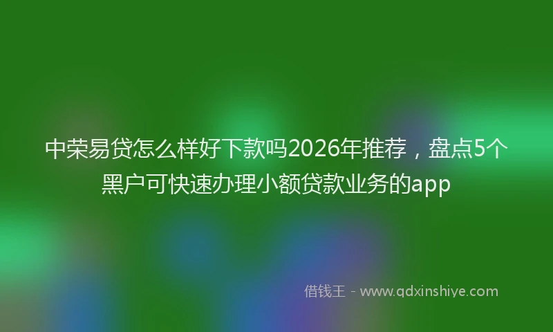 中荣易贷怎么样好下款吗2026年推荐,盘点5个黑户可快速办理小额贷款业务的app