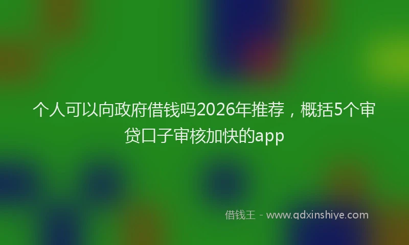 个人可以向政府借钱吗2026年推荐，概括5个审贷口子审核加快的app