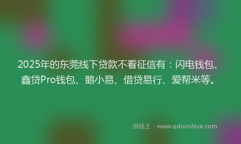 2025年的东莞线下贷款不看征信有:闪电钱包、鑫贷Pro钱包、鹅小易、借贷易行、爱帮米等。